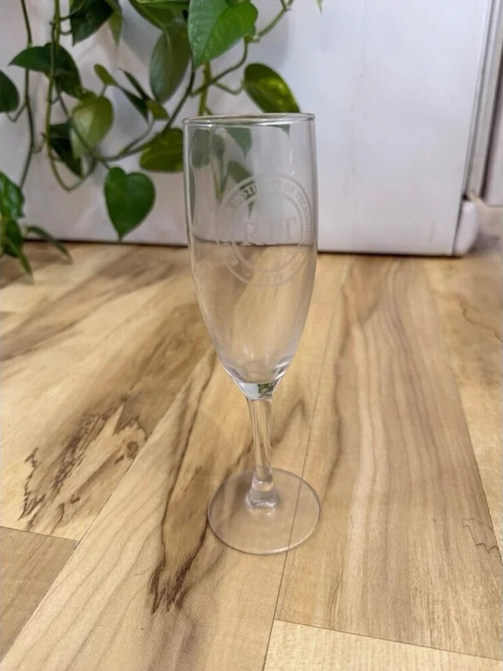 Clear Champagne Flute Glass - Unbranded